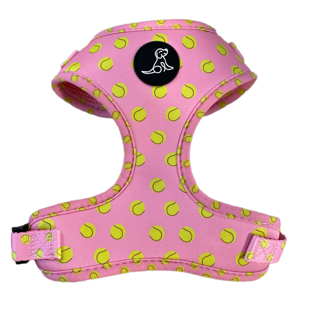 Tennis Ball Harness